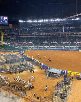 Bulls N Barrels